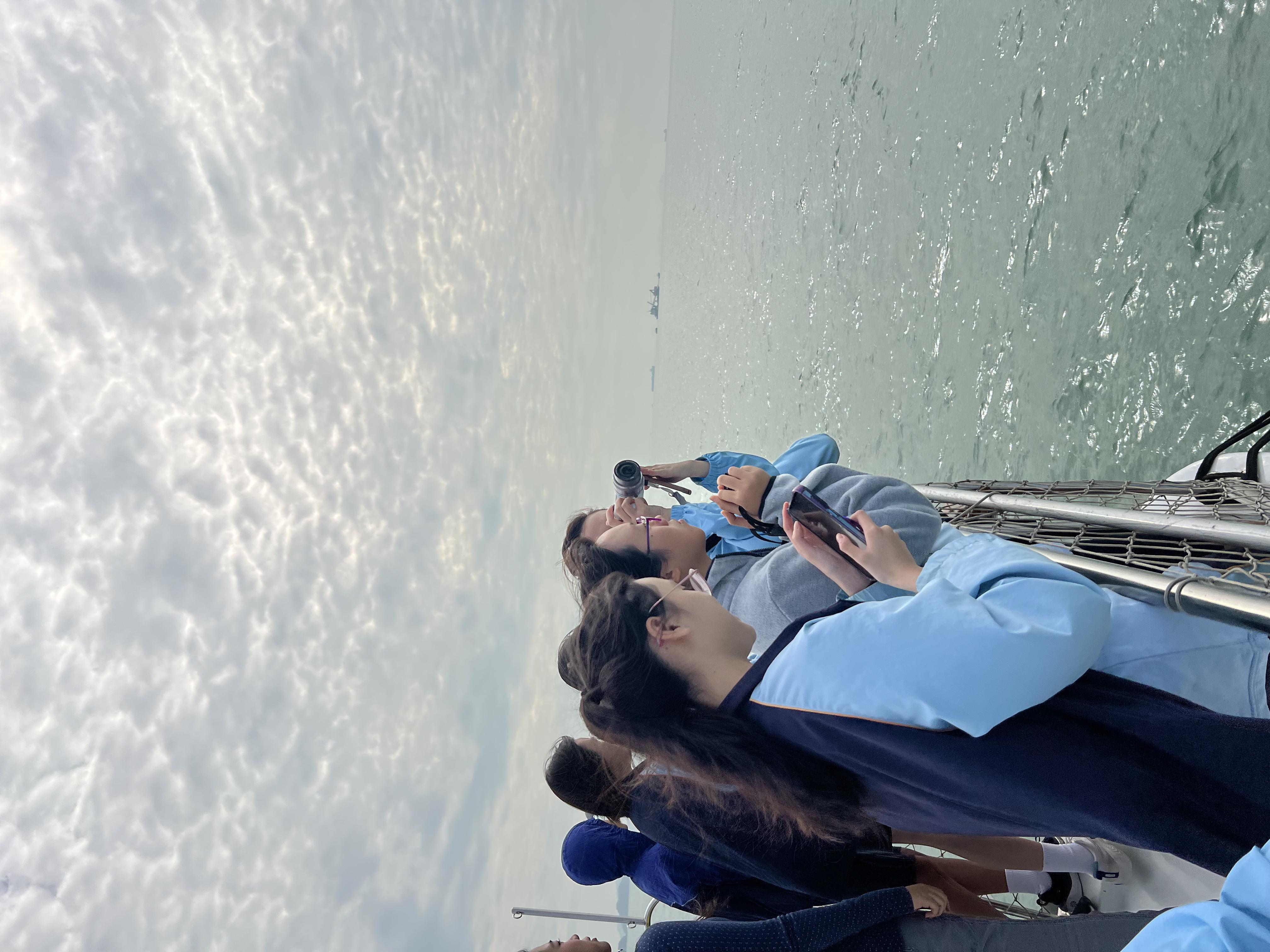 Copy of 004 - Dolphin Watch is a training of patient(1)